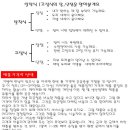 다모가발헤어