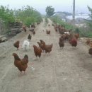 오월농장 이미지