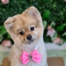 그루밍140 이미지