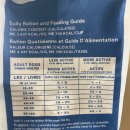 하우에버 포우에버 이미지