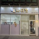 목욕 | 이수고양이미용 나디캣에서 생애 첫 고양이목욕 후기