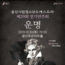 제29회 정기연주회 이미지