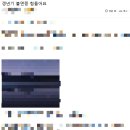갱년기 유산균 추천 효과와 복용법 알려드려요