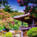 그립고 정든 고향 집 / 靑山 손병흥 이미지