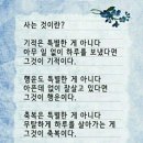 공존 이미지