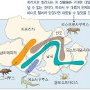 곤드와나
