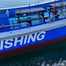 속초바다야 이미지