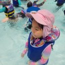 용인대성서태권도 | 이곡동유아체육 스파밸리 워터파크 물놀이 체험 용인대성서태권도