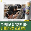 선과 명암의 이야기, 소묘 | 부산예고 합격생만 아는 시험장 실전 소묘 꿀팁 - 사직동 미술학원