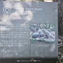 (신규)경주 남산 양조암곡, 별천룡곡 유적 이미지