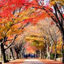 개봉충전소 이미지