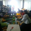 농도원1길 이미지