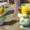 북평우시장 이미지