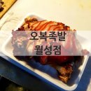 오복상점 이미지