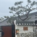 하선당 | (여행) 함평1박 2일 : 주포한옥마을 + 황금박쥐상 + 시목