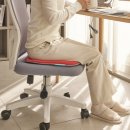 온의로 L | 기능성 의자방석 자세교정 수험생 핏시트 후기