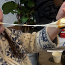 돈락 | [울산 진하 맛집] 육즙 가득 제주 오겹살과 구워 먹는 치즈의 환상 조합, '돈락' 방문후기