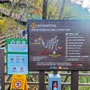 호수카 이미지