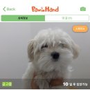 답21동물병원 이미지