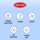 시니 케어 | [페노비스] 오랄벳 치약 &amp; 오랄브러쉬 칫솔 후기