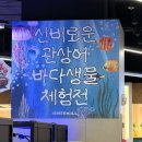 아쿠아티스트 | 강동 아이파크 더 리버몰 바다생물 체험팝업 아기랑 다녀온 솔직후기
