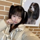 레이 카카오 검색결과