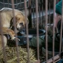 국제2농장 이미지