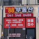 퍼스트드림공인중개사사무소 이미지
