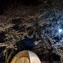 열린캠핑장 이미지