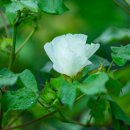 청솔농원 이미지