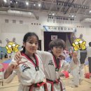 용인대 홍익 태권도장 이미지