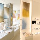 호이테안경 이미지