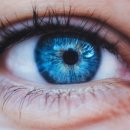 안경하세요 이미지