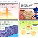 뱃살도둑 이미지
