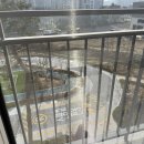 쁘띠맘 | 평택 안성 미세방충망 햇살방충망 시공후기｜진사해링턴 방충망 교체 전후 차이