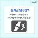 백세견생 이미지