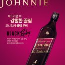 코리아 이미지