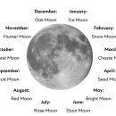 문가든(MOONGARDEN)