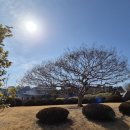 행정사감병기사무소 이미지