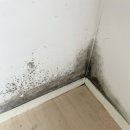 남현동-13 | 사당동 이수 방배동 남현동 강남 교대 서울대 서울 전...주다클린!! 방배동 프리마벨라 사이청소 후기 !!