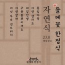 들메꽃 이미지