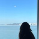 월미뽑기 이미지