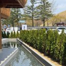 소소덮밥 | [경주] 소소함박 | 숯불향 가득한 한돈 함박 덮밥 맛집 솔직 후기