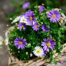 용인재가장기요양기관(A) | 성북구 방문요양센터(성북구 안암동)-재가센터 이용후기3