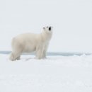 사랑가든 이미지