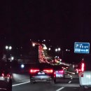 해맞이 | [평창] 발왕산 해맞이 (추천 후기)