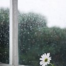 장충동왕족발 - 고양시 덕양구 토당로162번길 41 | 장충동왕족발
