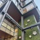 one shop | [후쿠오카 단톤 쇼핑] 어제 오픈한 원 후쿠오카 빌딩(ONE FUKUOKA BLDG) 비샵(B-SHOP) 후기!