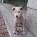 레빗쿤