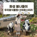 고려꽃식물원 | 4월 봄나들이 추천ㅣ화성 가볼만한곳 우리꽃식물원+318 로스터리 카페 후기